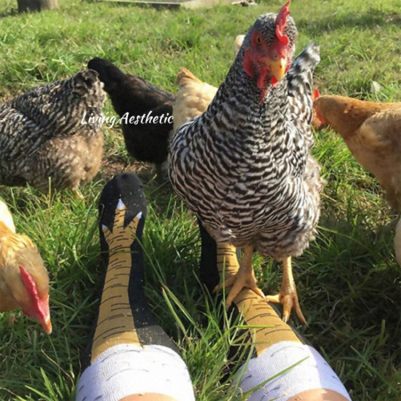 Funny Chicken Legs Socks