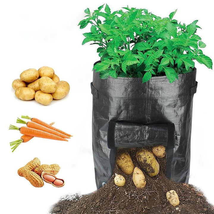 💖Arbor Day Hot Sale-50%Off🔥Potato Grow Planter PE Container Bag