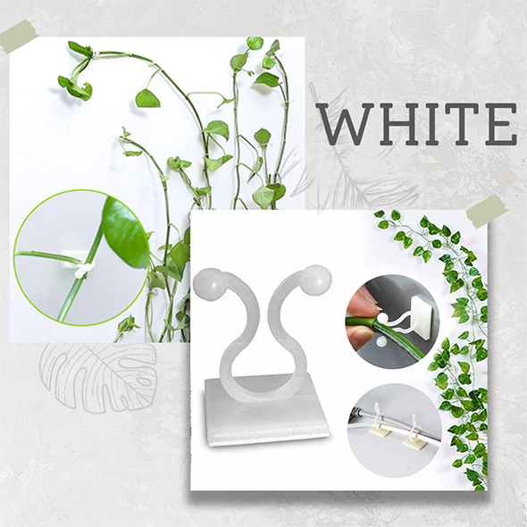 Multifunctional Plant Climbing Holder🔥30PCS (AVERAGE ONE$O.66)🔥