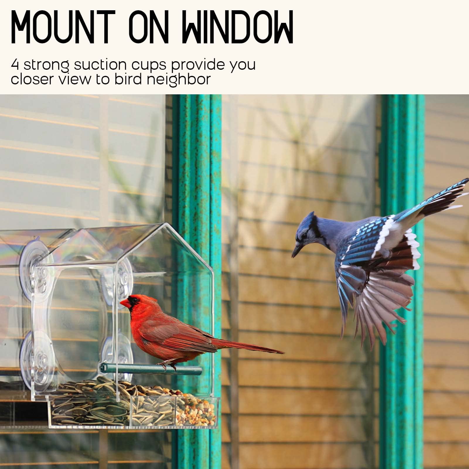 🔥Mother's Day Early 50% Off Sale-Window Bird Feeder for Outside