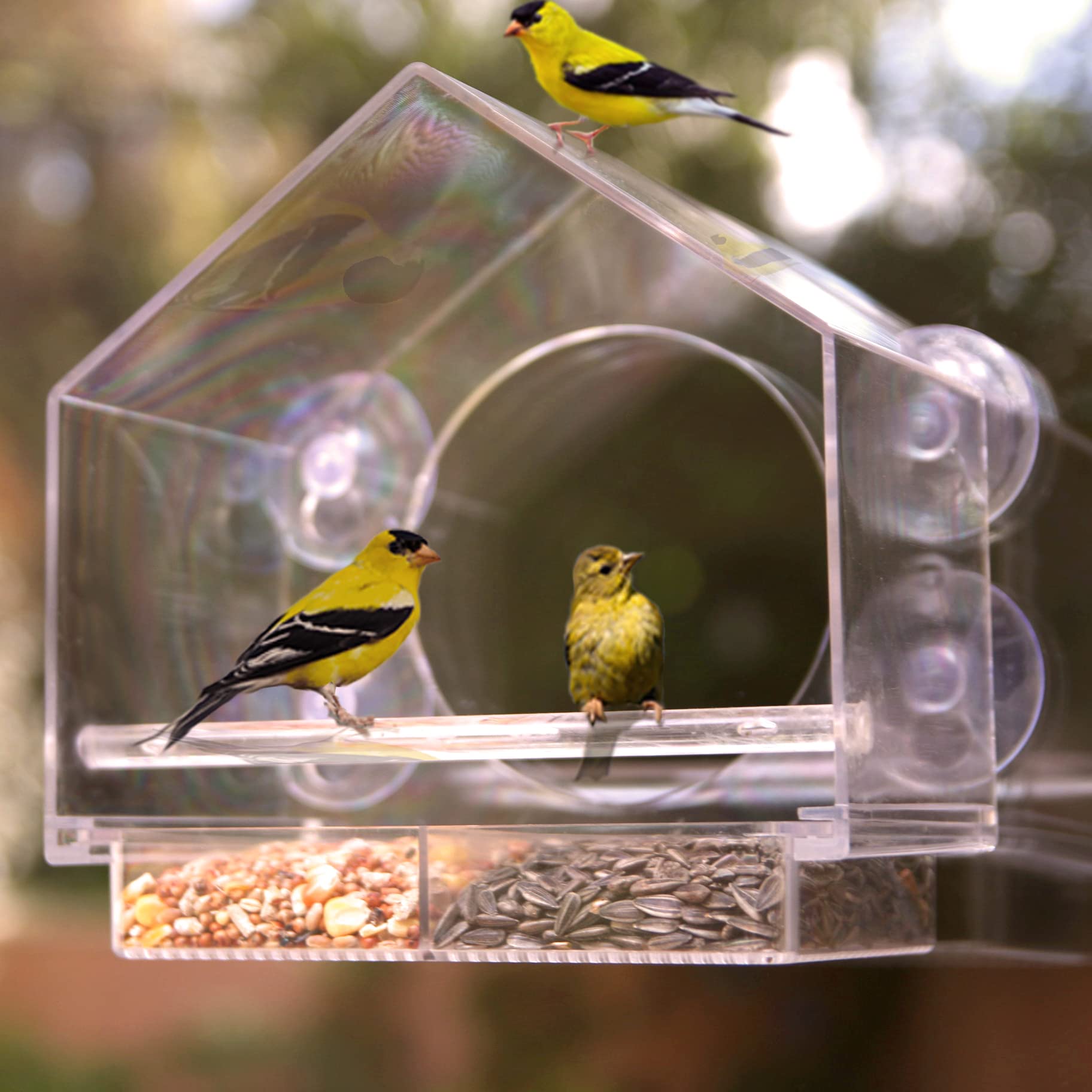🔥Mother's Day Early 50% Off Sale-Window Bird Feeder for Outside