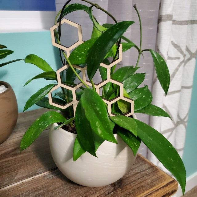 Indoor Plant Trellis,which be great for any climbing houseplant