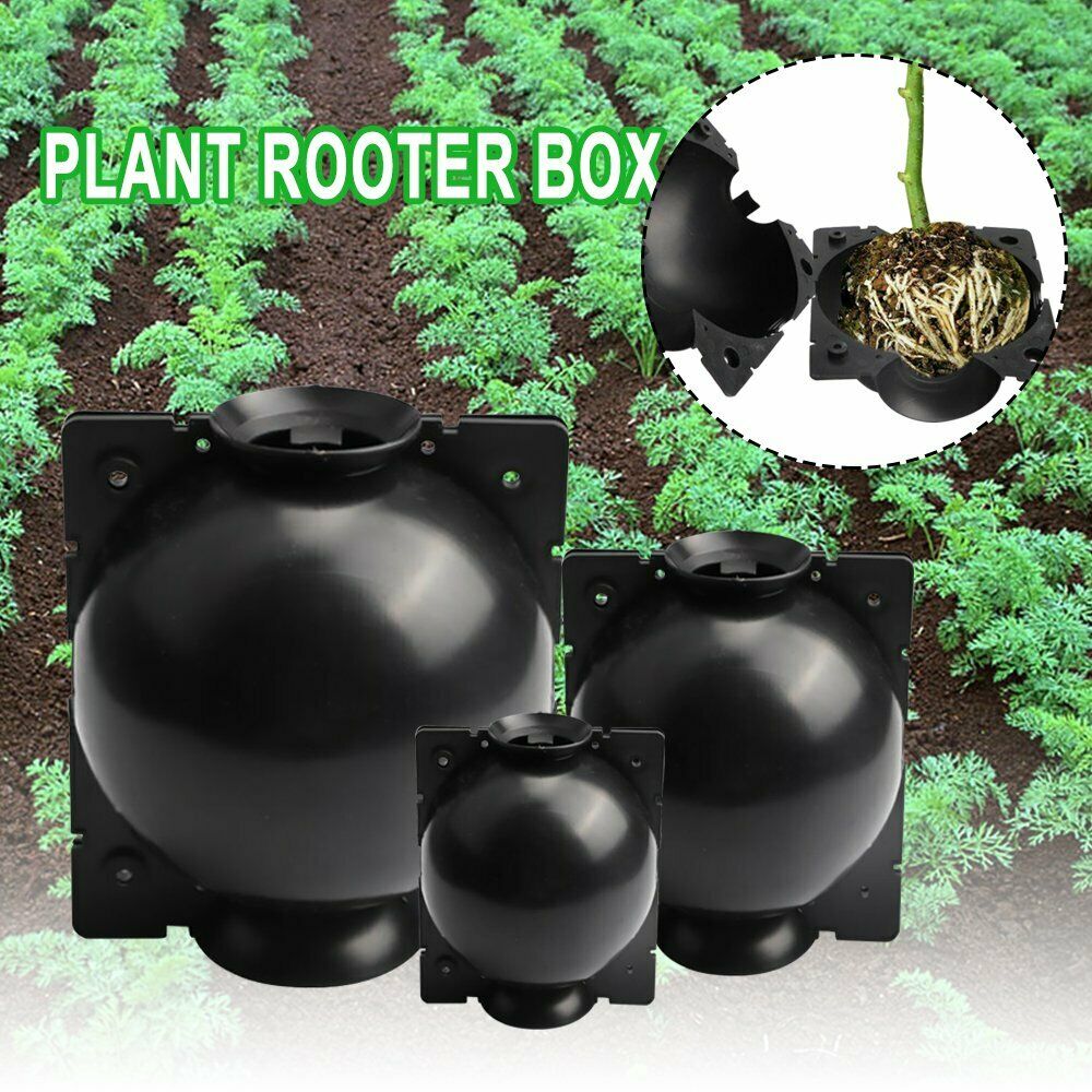 💖Spring Hot Sale-50%Off🔥Plant Root Growing Box🌱