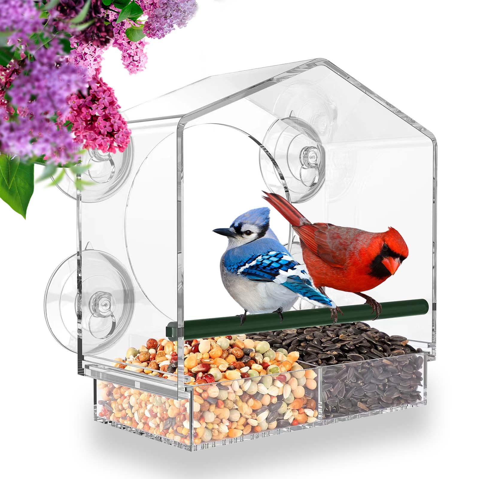 🔥Mother's Day Early 50% Off Sale-Window Bird Feeder for Outside