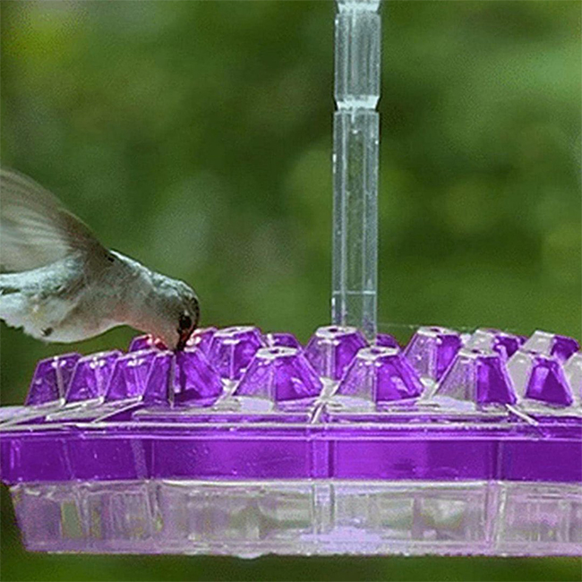 Sweety Hummingbird Feeder