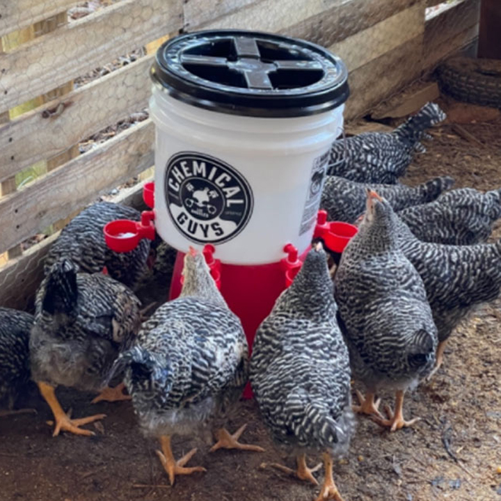 Automatic Chicken Water Cup Waterer Kit for Poultry