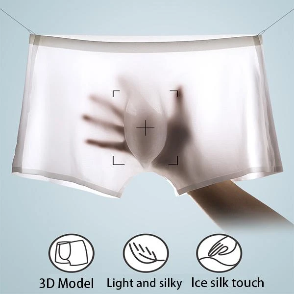 5-pack Men's Ice Silk Breathable Underwear