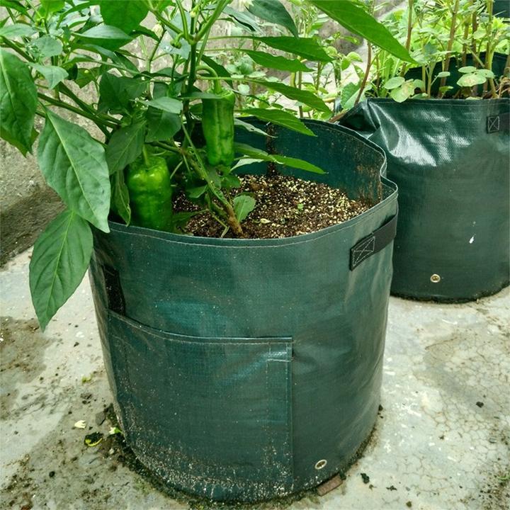 💖Arbor Day Hot Sale-50%Off🔥Potato Grow Planter PE Container Bag