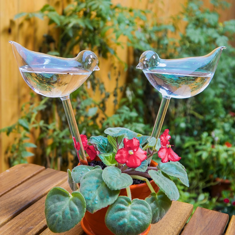 (🔥Last Day Promotion-SAVE 50% OFF) Self-Watering Plant Glass Bulbs - Buy 4 Sets Free Shipping!
