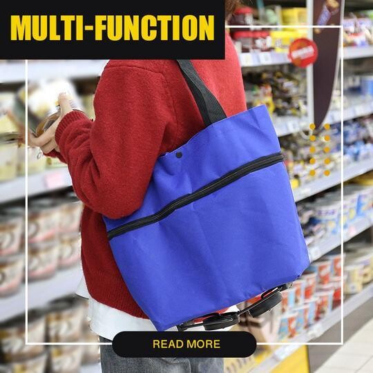 2 In 1 Foldable Shopping Cart