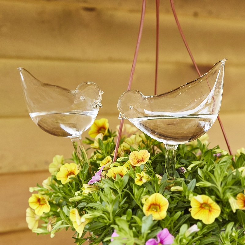 (🔥Last Day Promotion-SAVE 50% OFF) Self-Watering Plant Glass Bulbs - Buy 4 Sets Free Shipping!