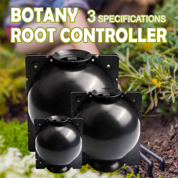(Buy More Save More) Plant Root Growing Box