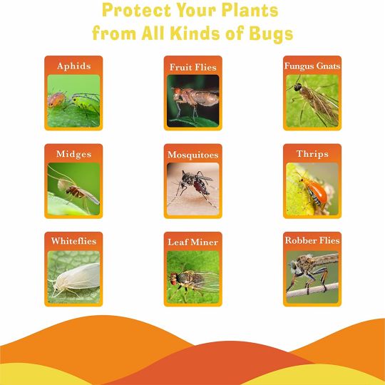 💖Arbor Day Hot Sale-50%Off🔥Plant Sticky Traps for Fruit Flies/Fungus Traps