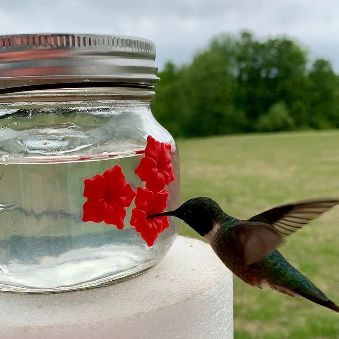 Beautiful Mason Jar Hummingbird Feeder W/Three Ports,Bring your garden to life
