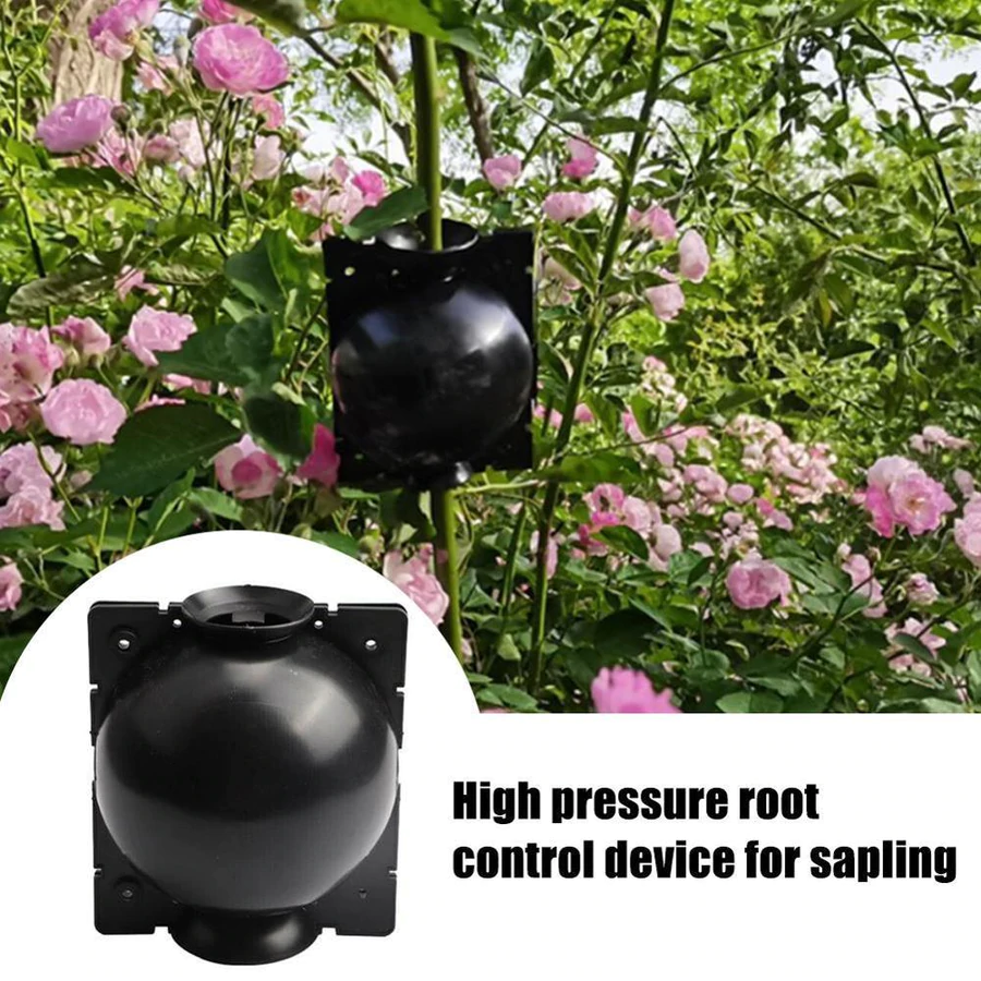 💖Spring Hot Sale-50%Off🔥Plant Root Growing Box🌱